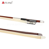 Carbon with Pernumbuco Violin Bow