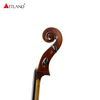 Hand Made European Wood Cello PCE50