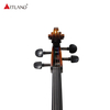 Hand Made European Wood Cello PCE50