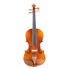 Artland Poluar Solid Vioins Outfit For Beginner GV103F