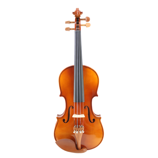 Artland Cheap Solid Vioins Outfit For Beginner GV103F