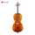 Hand Made European Wood Cello PCE60
