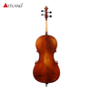 Hand Made European Wood Cello PCE50