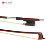 Carbon with Pernumbuco Violin Bow