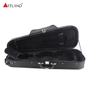 Quality Foamed Triangle Violin Case SVC203