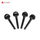 Ebony Pegs Violin APV04