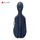 Colorful EVA Cello Case BGC309B