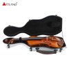 Cabin Violin Flight Case SVC100
