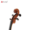 Hand Made European Wood Cello PCE60