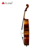 Hand Made European Wood Cello PCE50